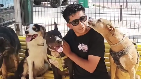 Adiestrador canino en Almuñécar 🐾Huellitas 🐾