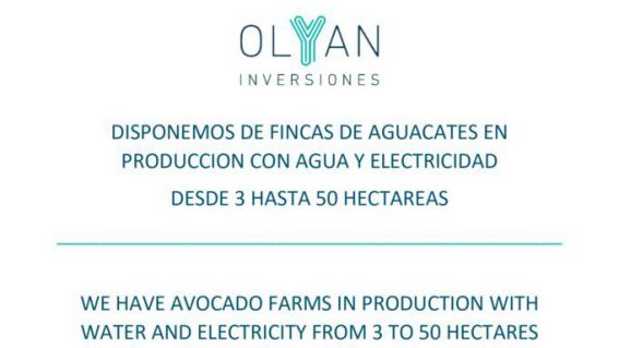 Olyan Inversiones